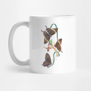 Swallowtail Butterflies with Orchid Mug